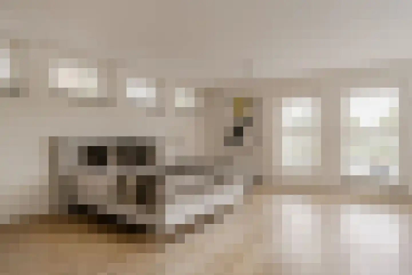 Goudplevier 7 Ouderkerk aan de Amstel thumbnail 35