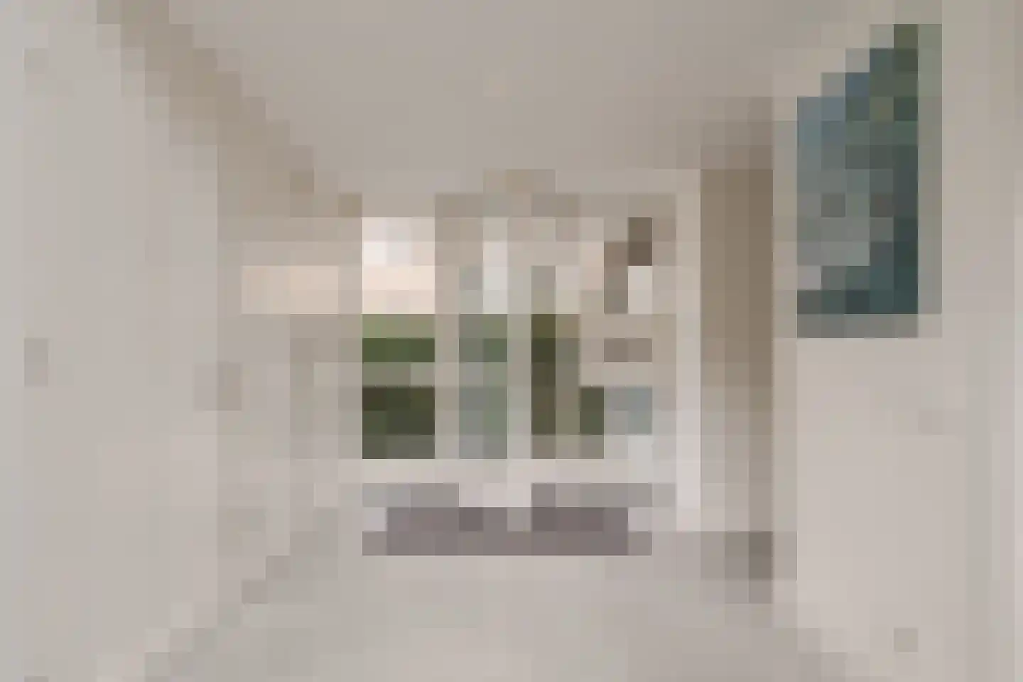 Goudplevier 7 Ouderkerk aan de Amstel thumbnail 5
