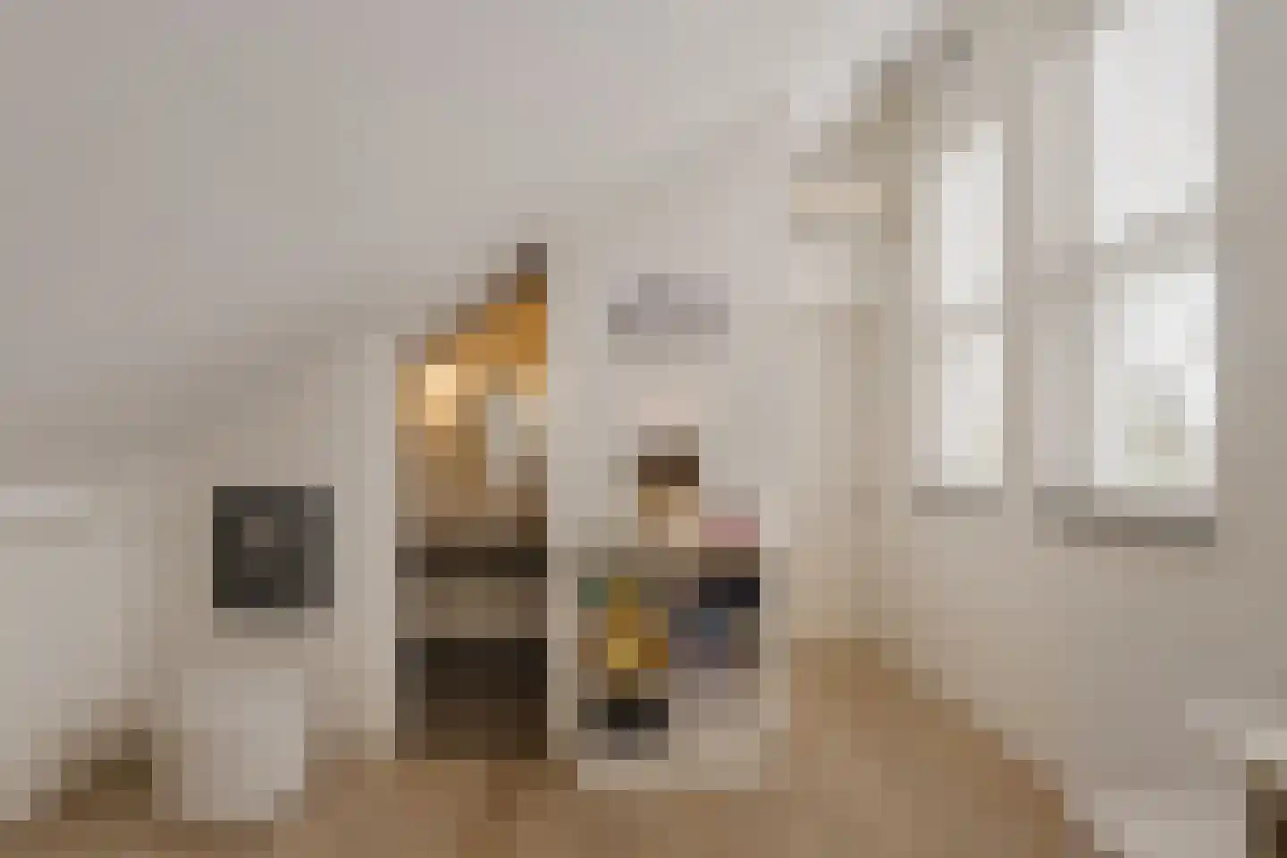 Goudplevier 7 Ouderkerk aan de Amstel thumbnail 53