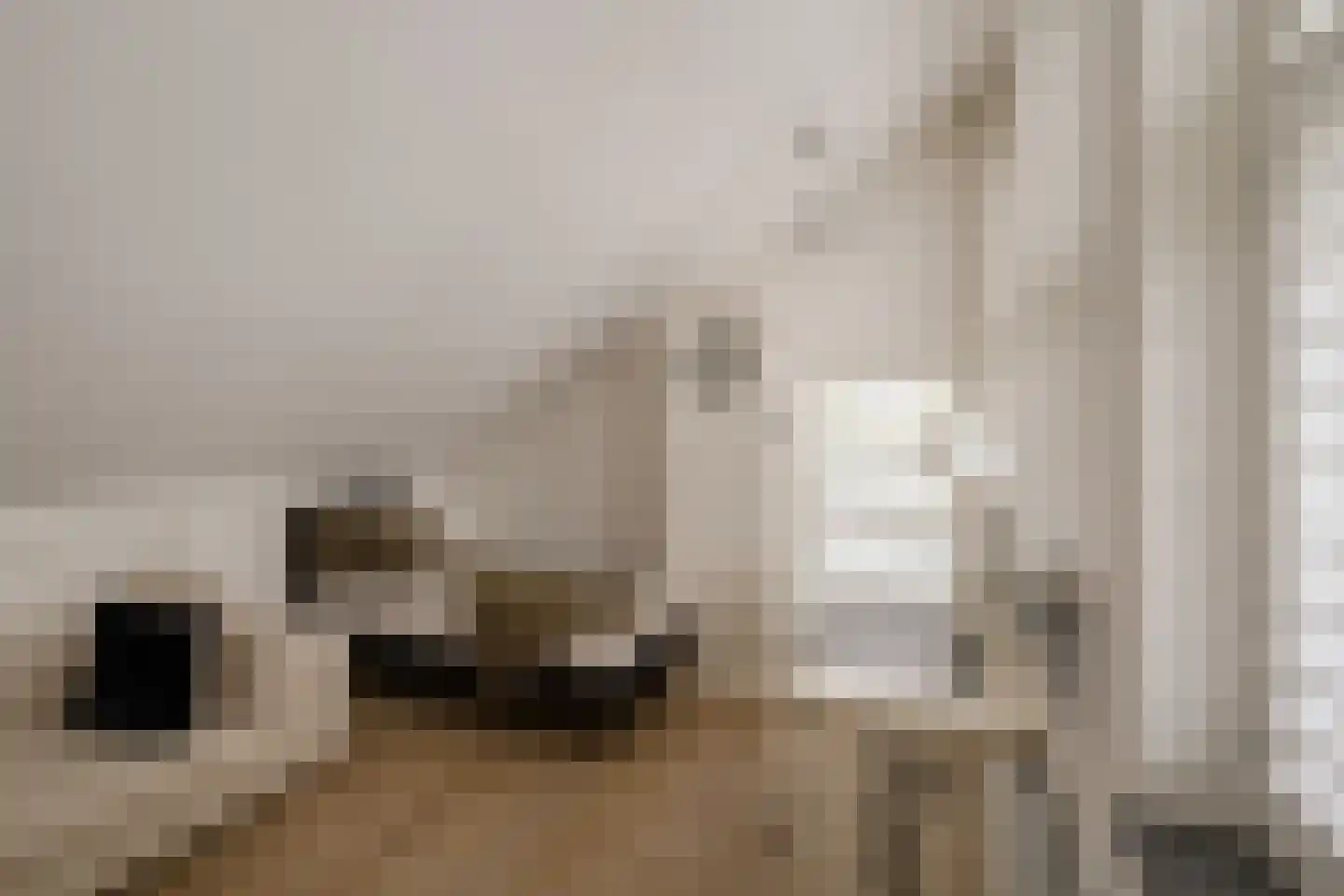 Goudplevier 7 Ouderkerk aan de Amstel thumbnail 55