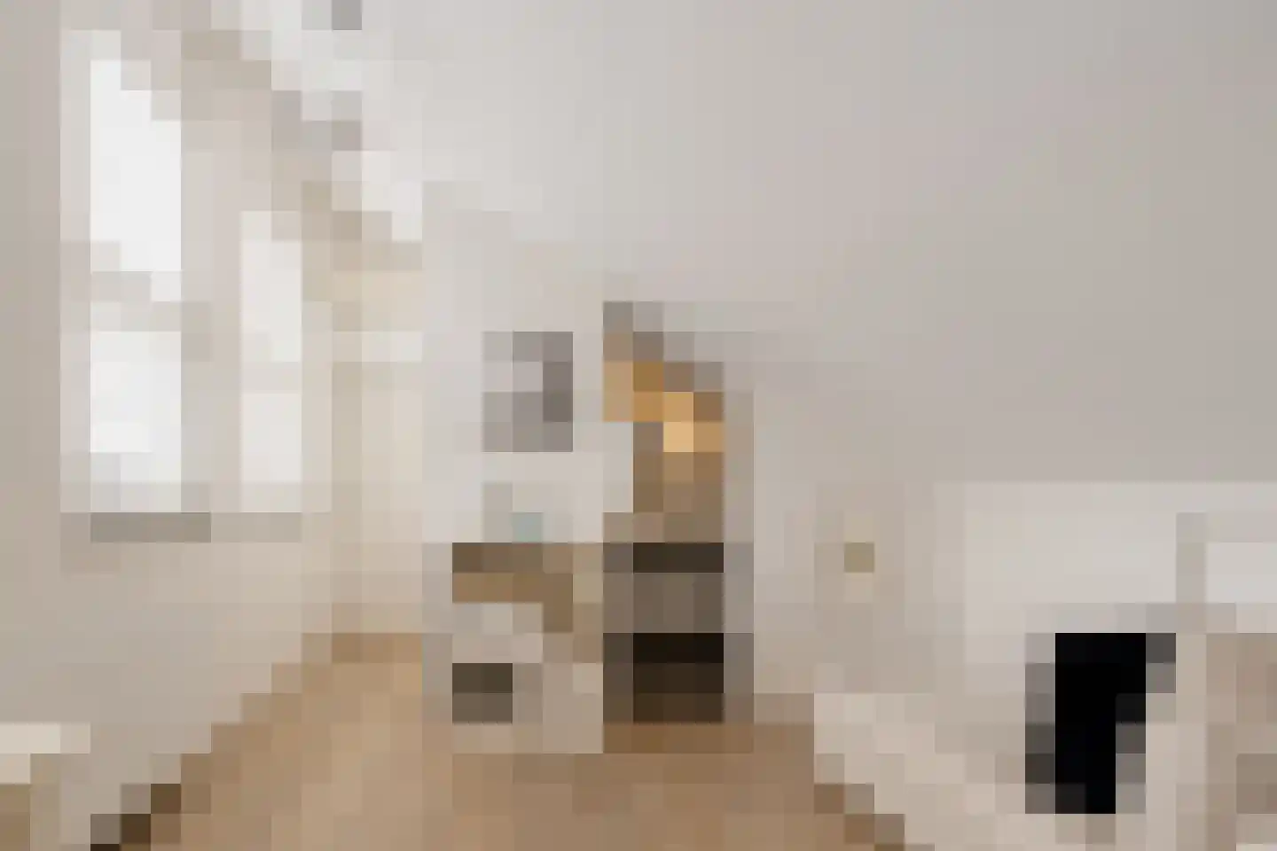 Goudplevier 7 Ouderkerk aan de Amstel thumbnail 58
