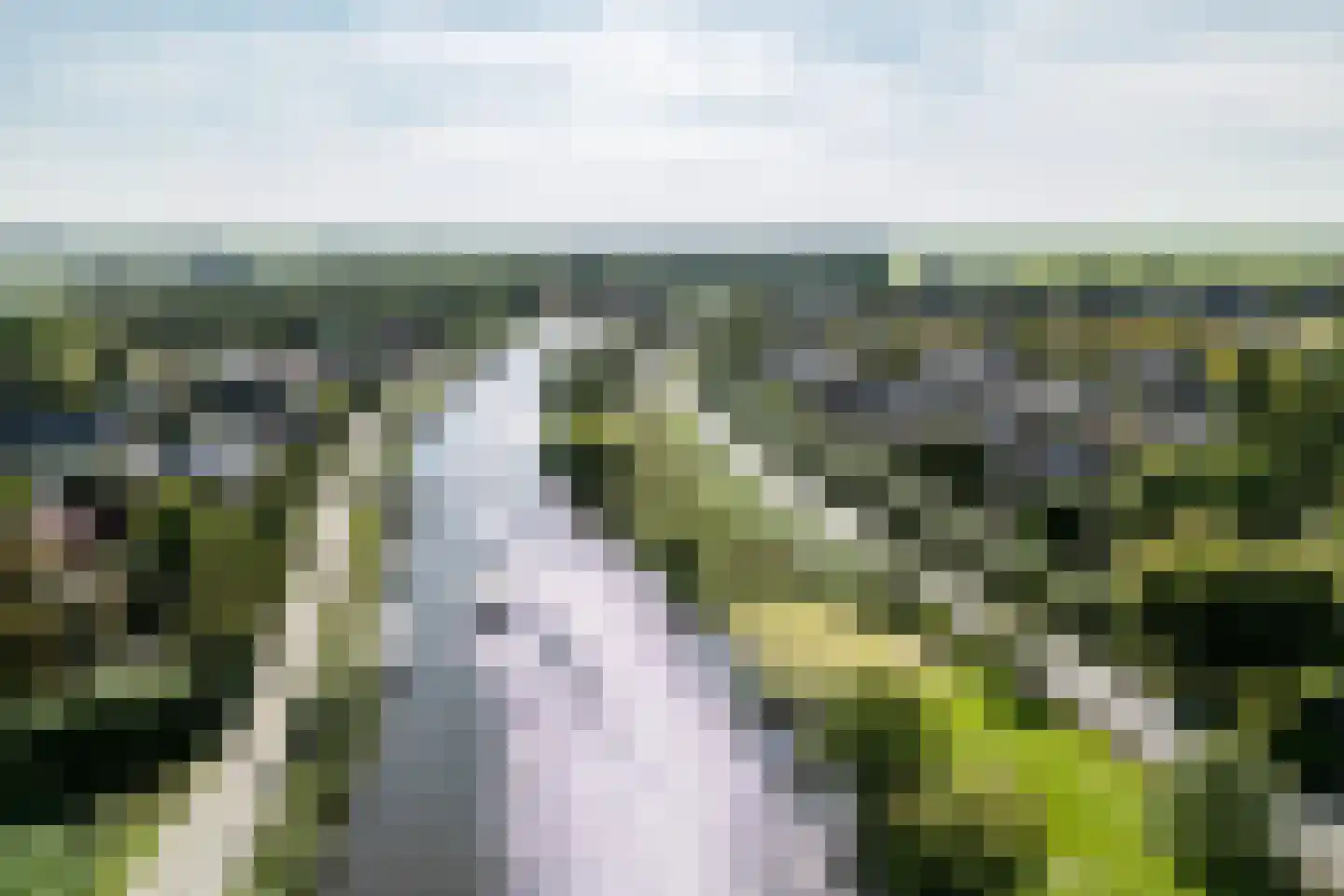 Goudplevier 7 Ouderkerk aan de Amstel thumbnail 61