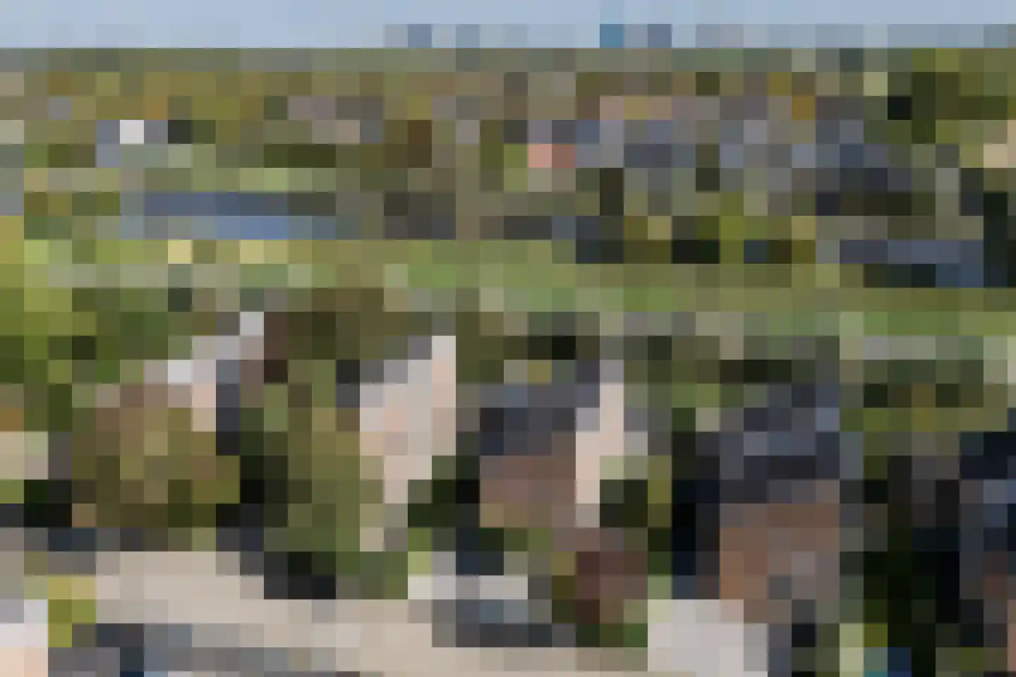 Goudplevier 7 Ouderkerk aan de Amstel thumbnail 66