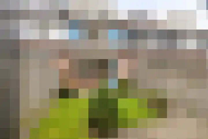 Goudplevier 72 IJsselmuiden thumbnail 28