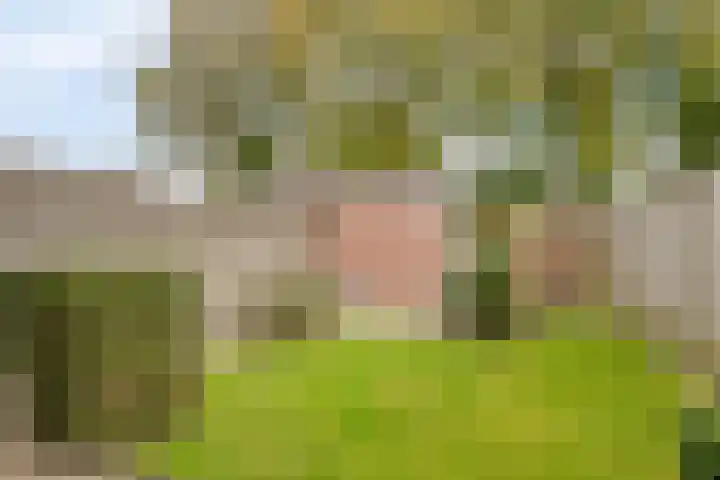 Goudplevier 72 IJsselmuiden thumbnail 29