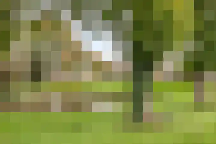 Goudplevier 72 IJsselmuiden thumbnail 31