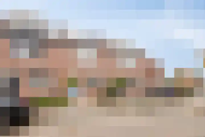 Goudplevier 72 IJsselmuiden thumbnail 33