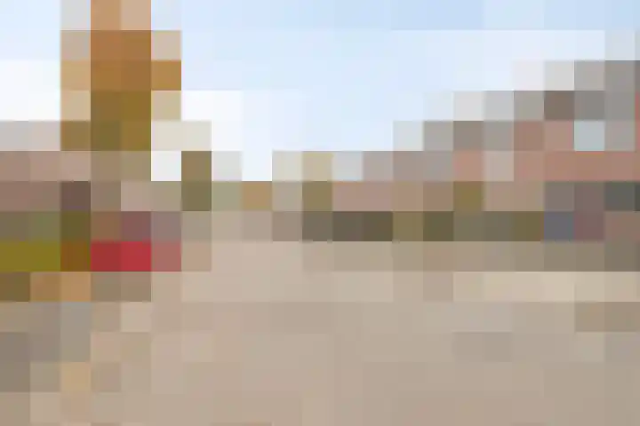 Goudplevier 72 IJsselmuiden thumbnail 34