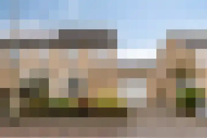 Goudplevier 76 Oss thumbnail 30