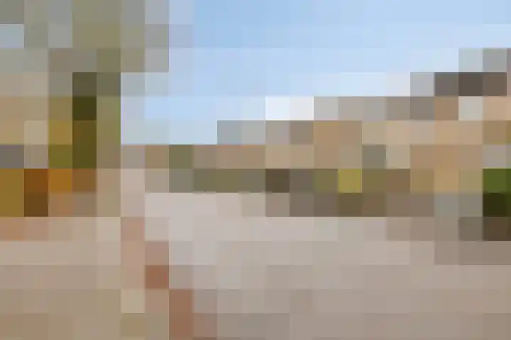 Goudplevier 76 Oss thumbnail 31