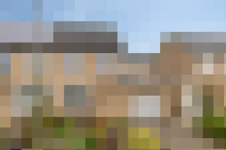 Goudplevier 76 Oss thumbnail 32