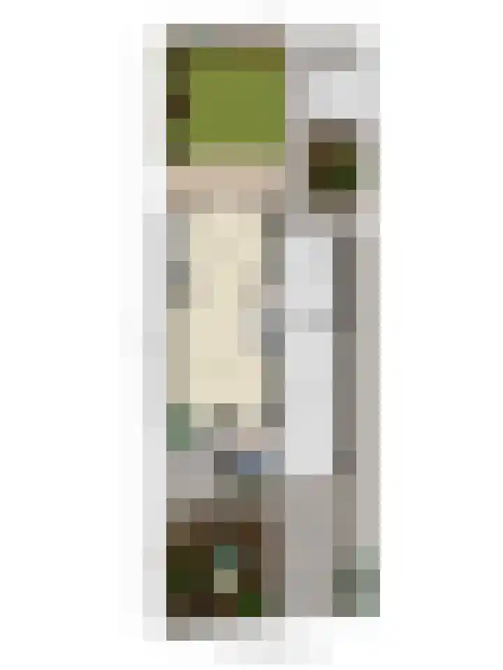 Goudplevier 76 Oss thumbnail 33
