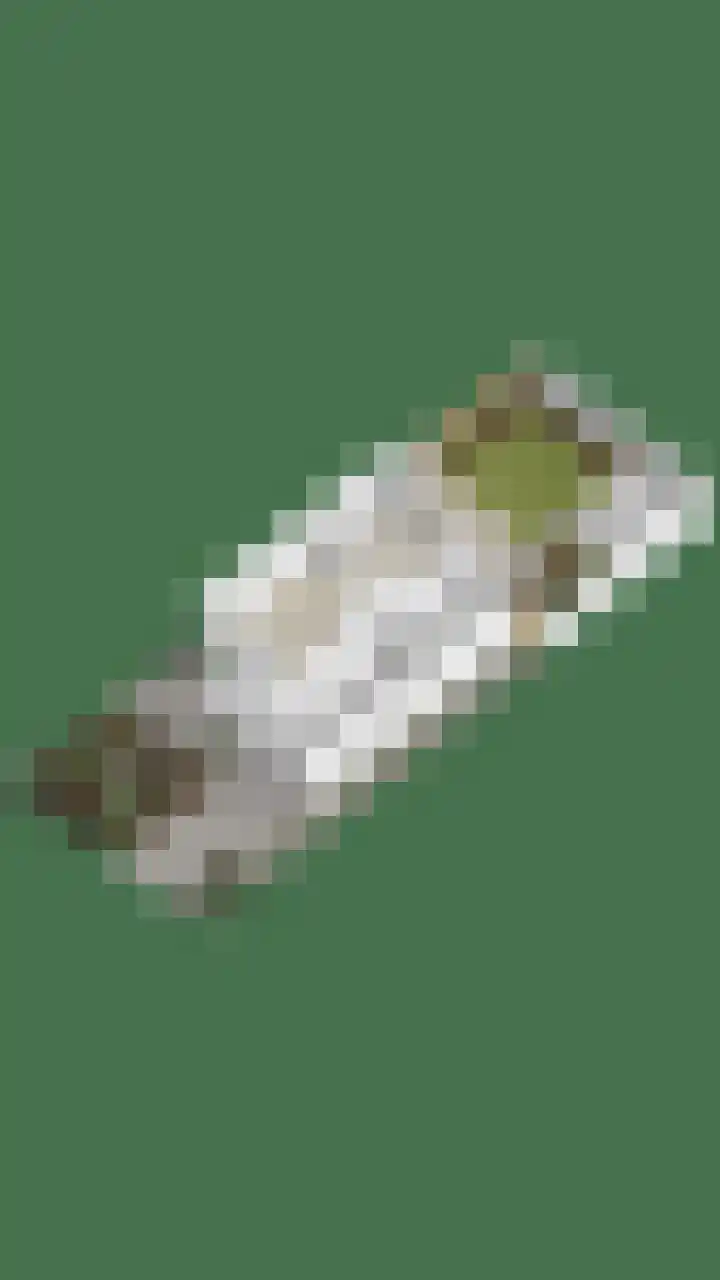 Goudplevier 76 Oss thumbnail 34