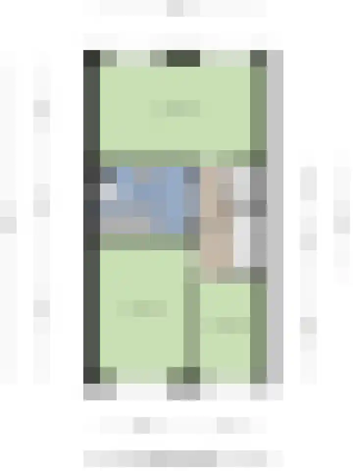 Goudplevier 76 Oss thumbnail 37