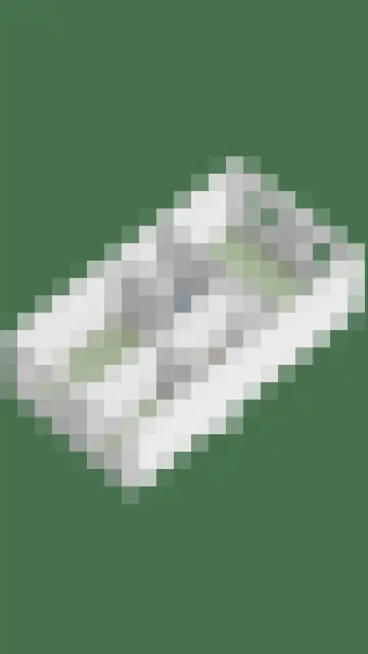 Goudplevier 76 Oss thumbnail 38