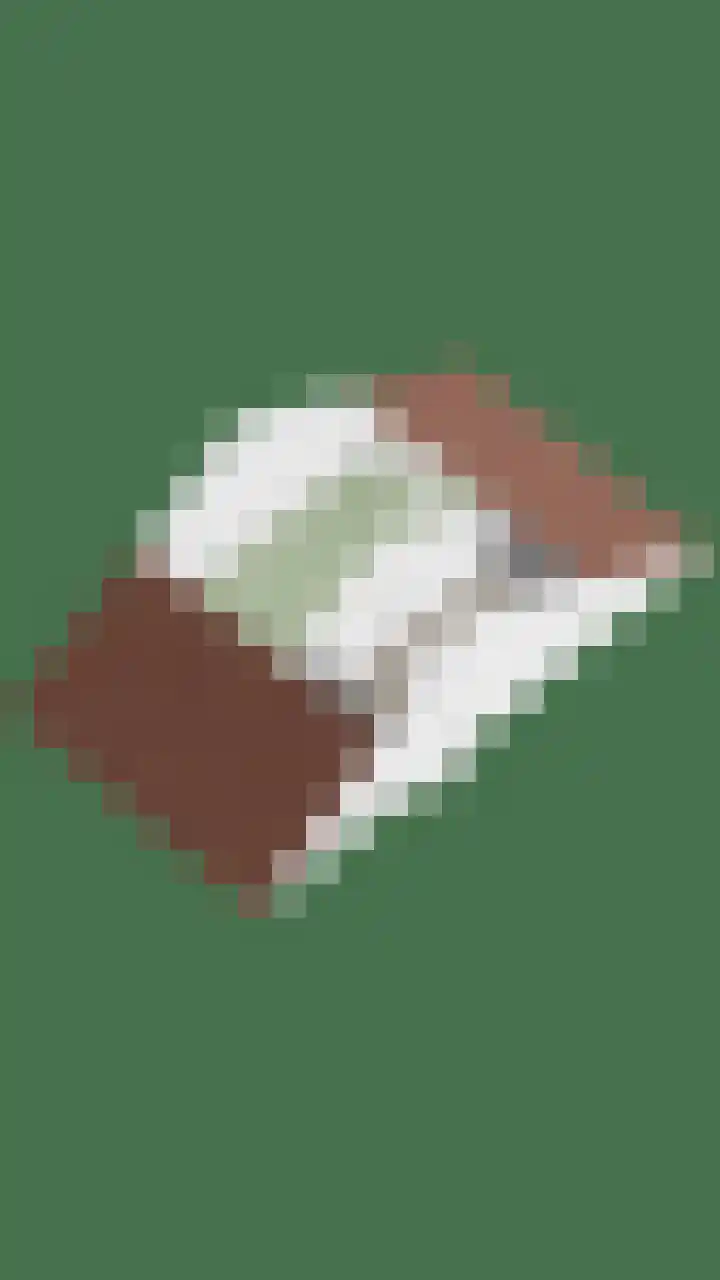 Goudplevier 76 Oss thumbnail 40