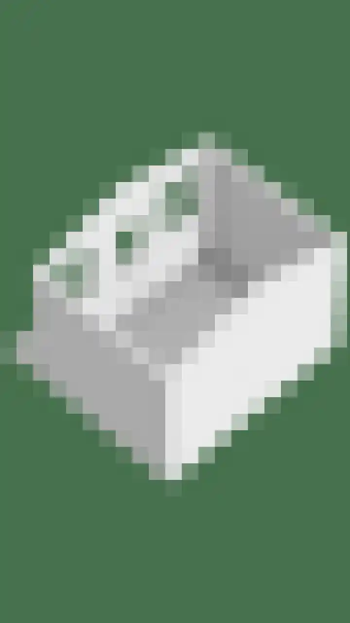 Goudplevier 76 Oss thumbnail 42