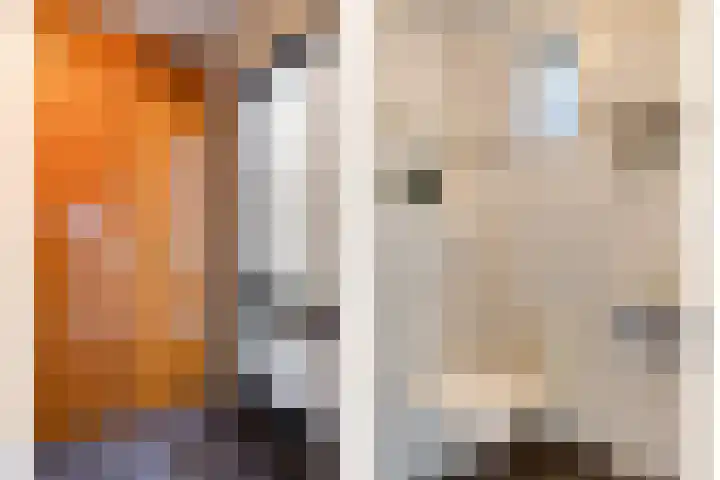 Goudplevier 76 Oss thumbnail 7