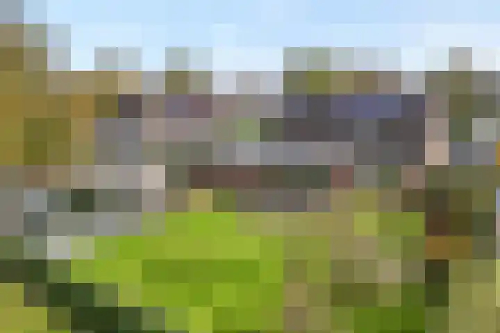 Goudplevier 9 in Raalte