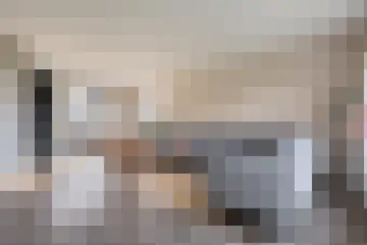 Goudplevier 9 Raalte thumbnail 10