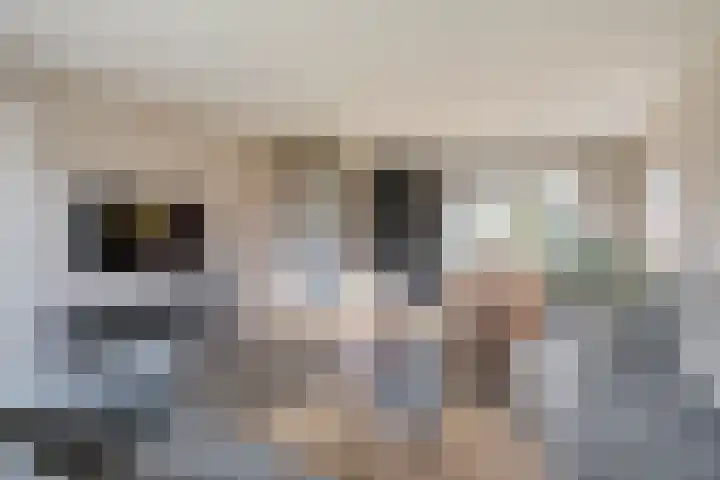 Goudplevier 9 Raalte thumbnail 11