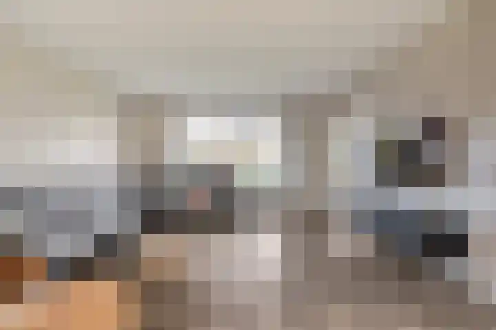 Goudplevier 9 Raalte thumbnail 12