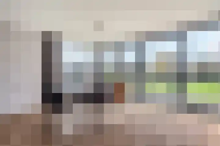 Goudplevier 9 Raalte thumbnail 13