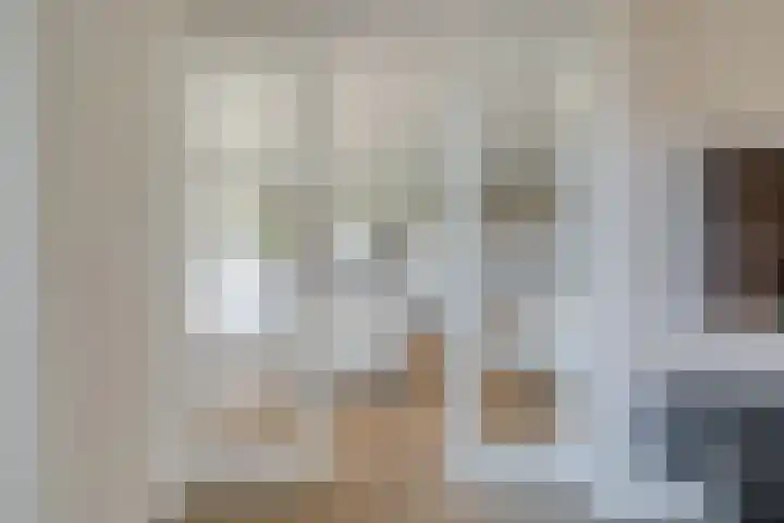 Goudplevier 9 Raalte thumbnail 15
