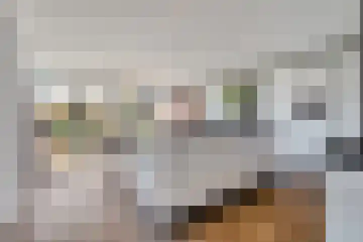 Goudplevier 9 Raalte thumbnail 20