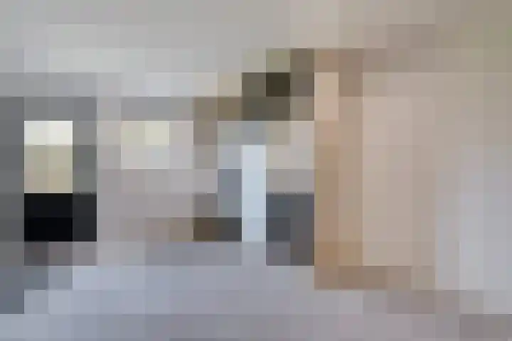 Goudplevier 9 Raalte thumbnail 23