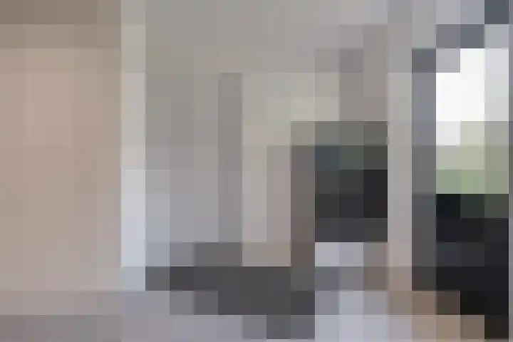 Goudplevier 9 Raalte thumbnail 24