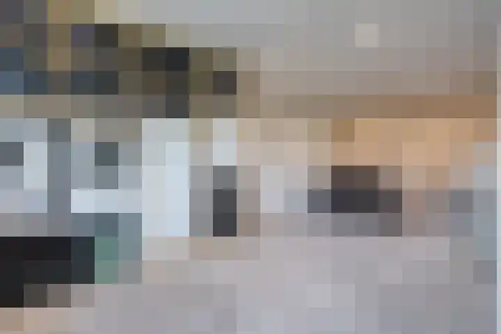 Goudplevier 9 Raalte thumbnail 25