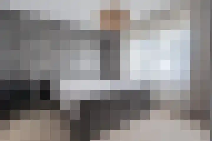 Goudplevier 9 Raalte thumbnail 26