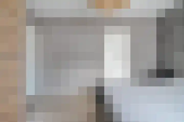 Goudplevier 9 Raalte thumbnail 27