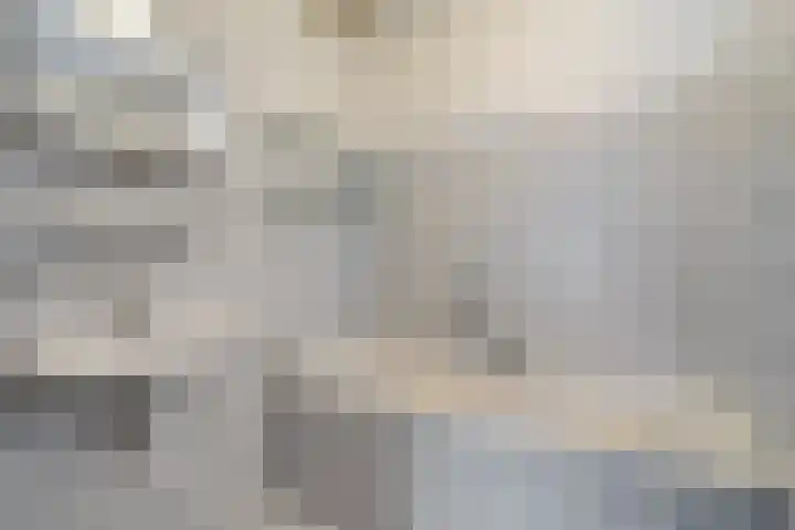 Goudplevier 9 Raalte thumbnail 28