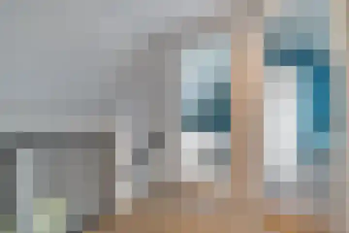 Goudplevier 9 Raalte thumbnail 30