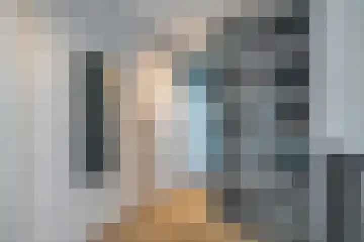 Goudplevier 9 Raalte thumbnail 31