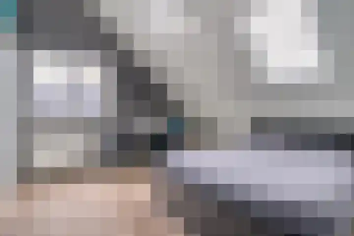 Goudplevier 9 Raalte thumbnail 33