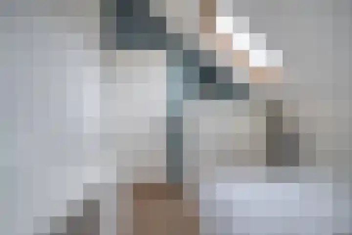 Goudplevier 9 Raalte thumbnail 36