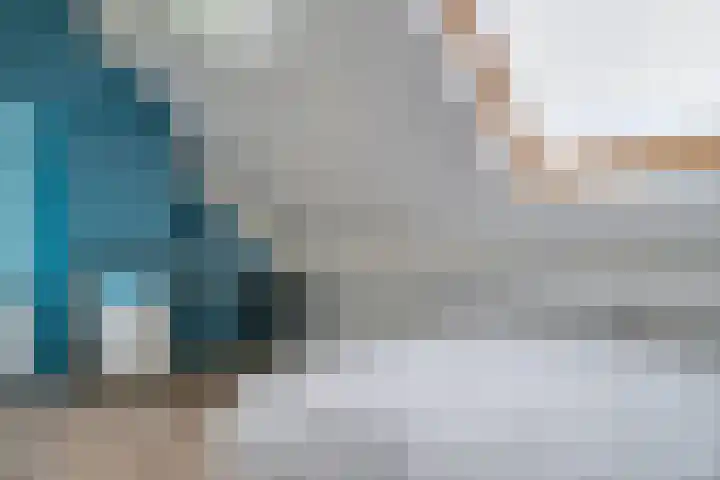 Goudplevier 9 Raalte thumbnail 37