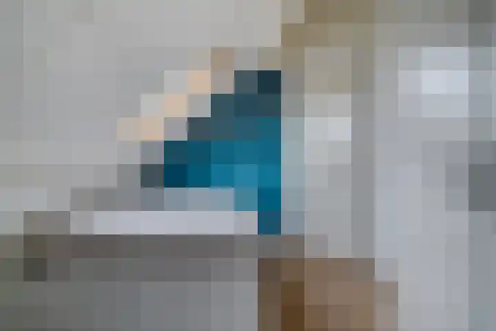 Goudplevier 9 Raalte thumbnail 38