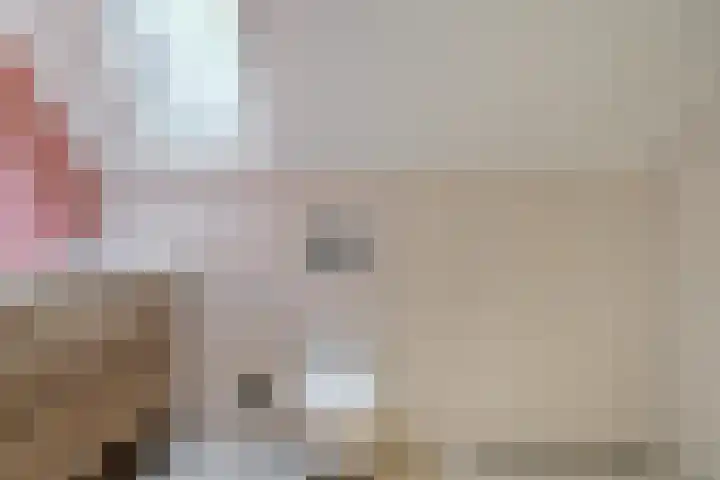 Goudplevier 9 Raalte thumbnail 39