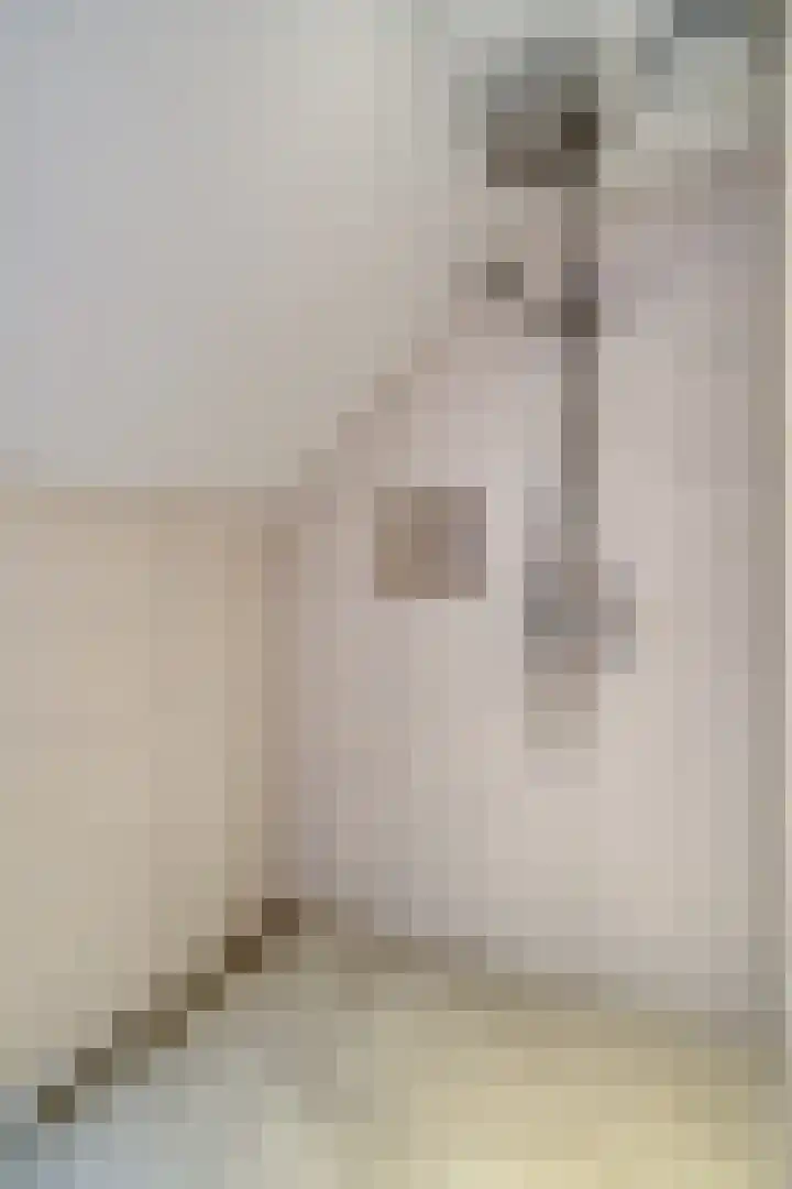 Goudplevier 9 Raalte thumbnail 40