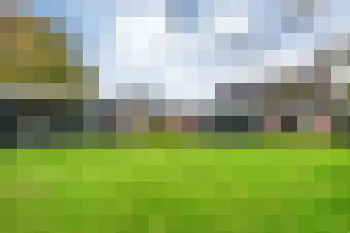 Goudplevier 9 Raalte thumbnail 42