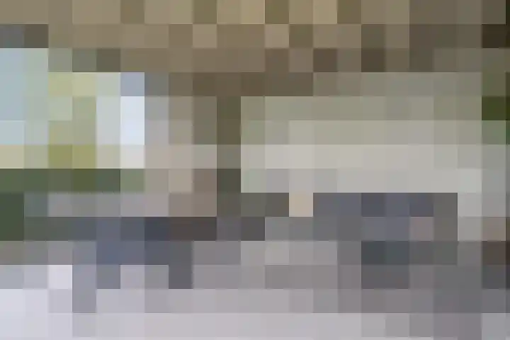 Goudplevier 9 Raalte thumbnail 47