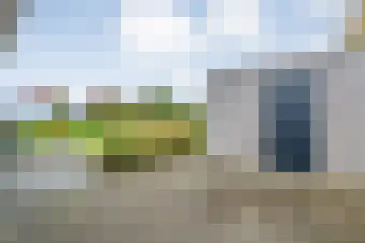 Goudplevier 9 Raalte thumbnail 50