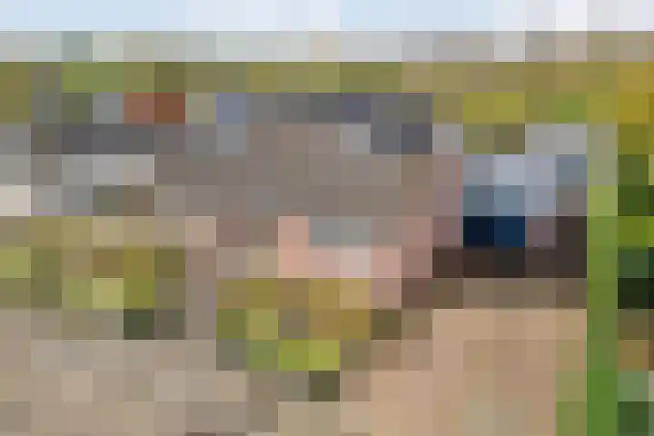 Goudplevier 9 Raalte thumbnail 54