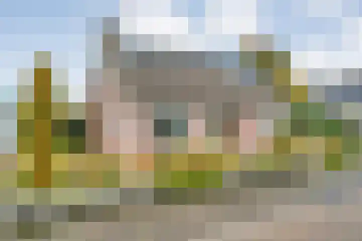 Goudplevier 9 Raalte thumbnail 55