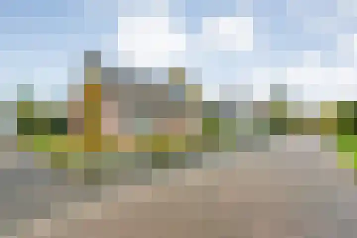 Goudplevier 9 Raalte thumbnail 56