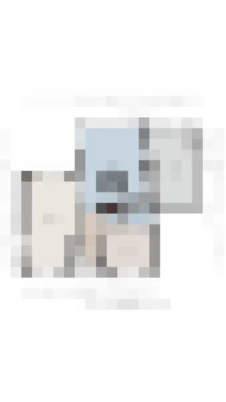 Goudplevier 9 Raalte thumbnail 58